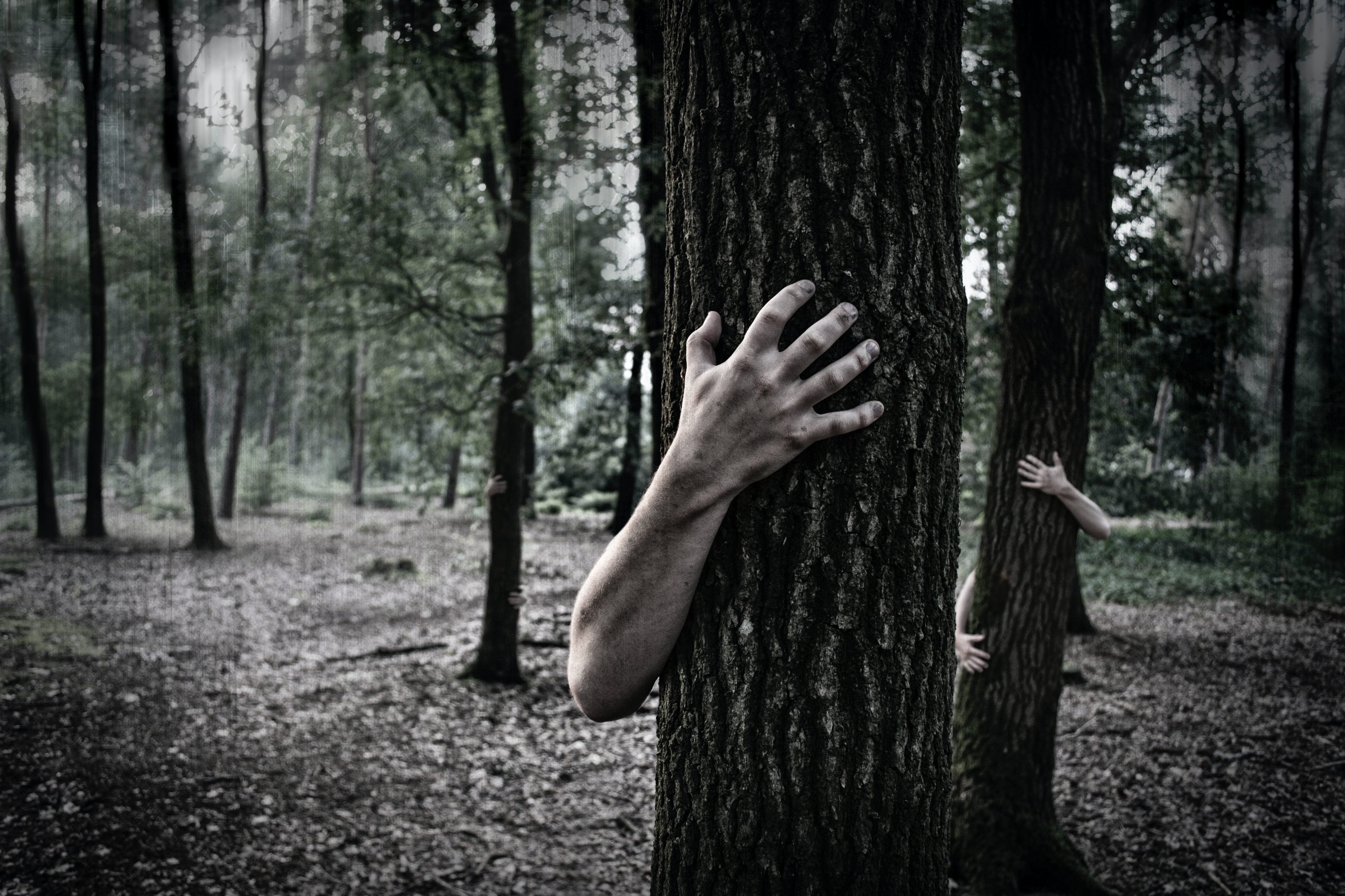 How Will You Survive the Zombie Apocalypse?
