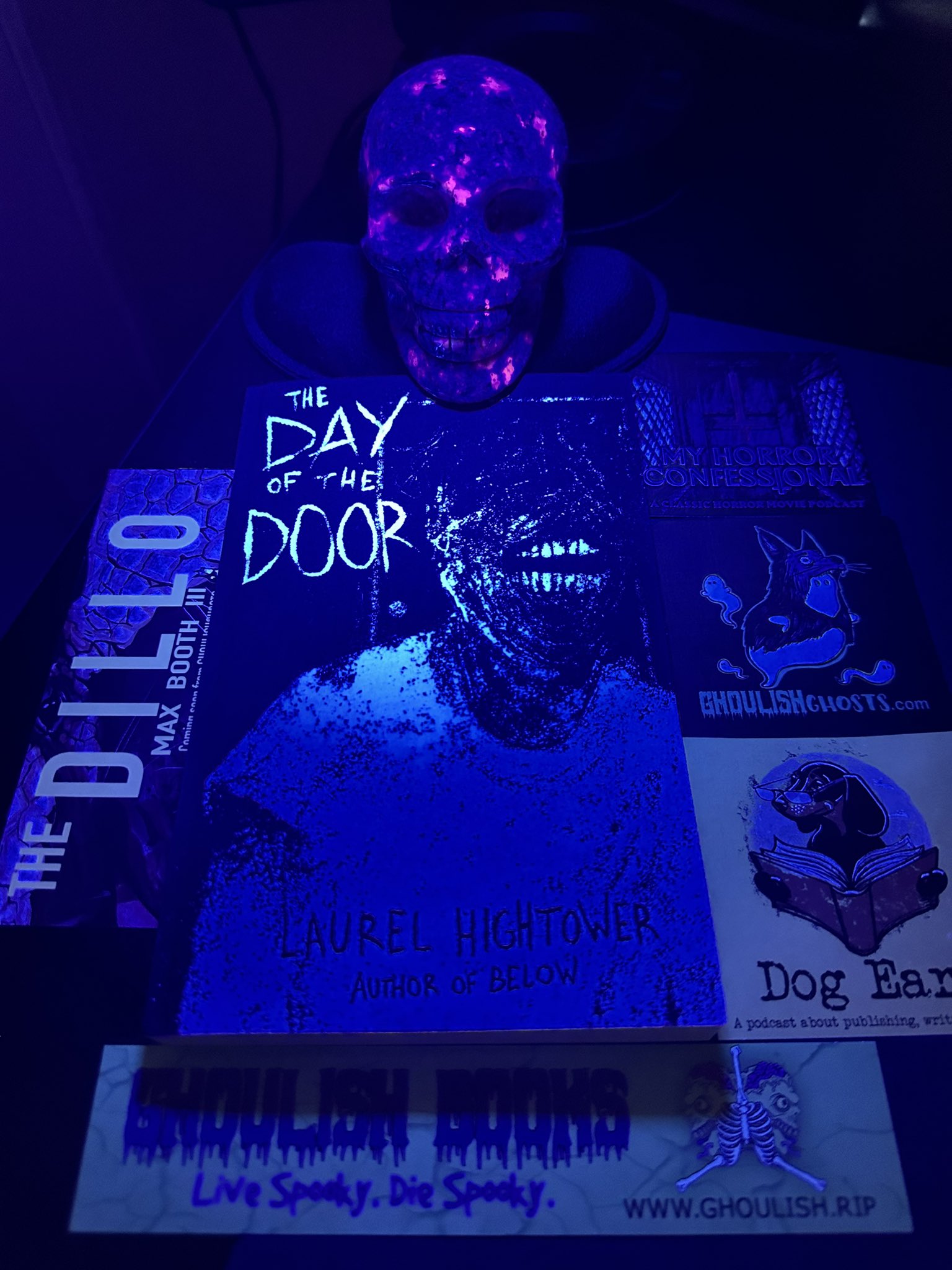 THE DAY OF THE DOOR HAS ARRIVED